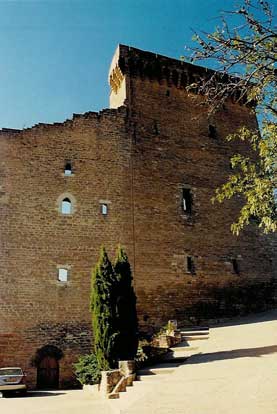 castle at Chateau-neuf-du-Pape