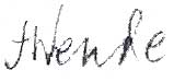 julie wende signature