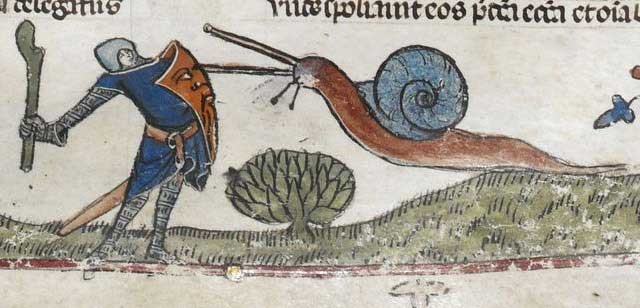 Knight battling snail